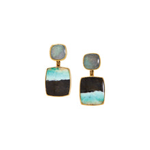 labradorite and petrified wood earrings