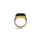 Bronze Roman Ring Encapsulated with Modern Gold Frame