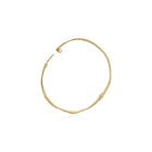 large hinged hoops