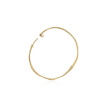 large hinged hoops