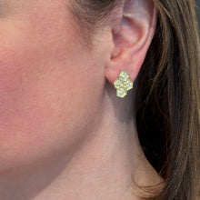 "Hive" Earrings with Post Backs