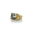 Meteorite Ring