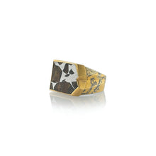 Meteorite Ring