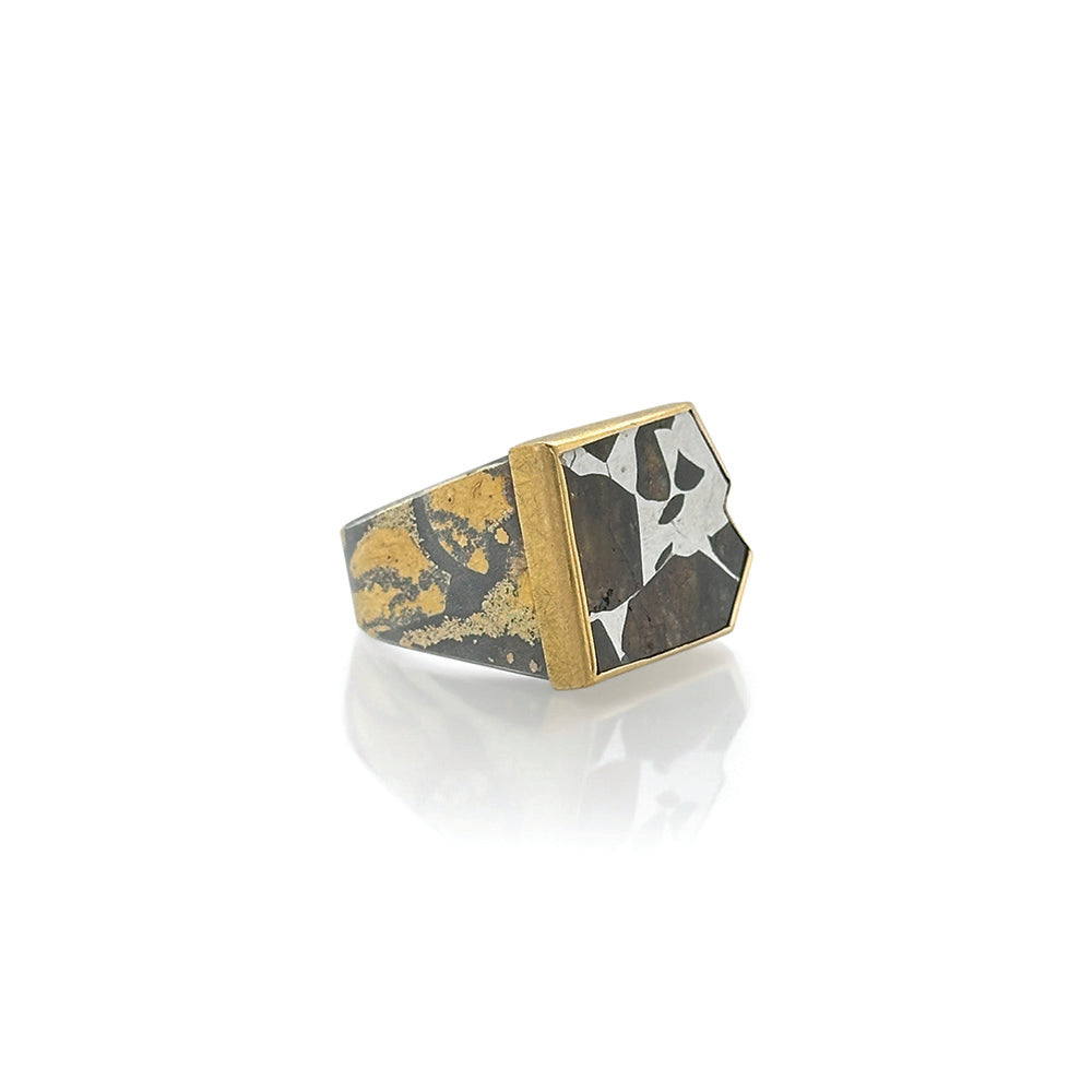Meteorite Ring