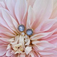 Ellis Stud with Grey Moonstone