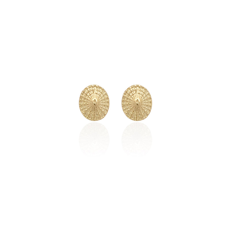 Parasol Limpet Earrings in 18K