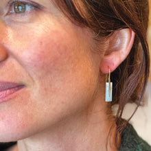 Ammazonite feather earrings