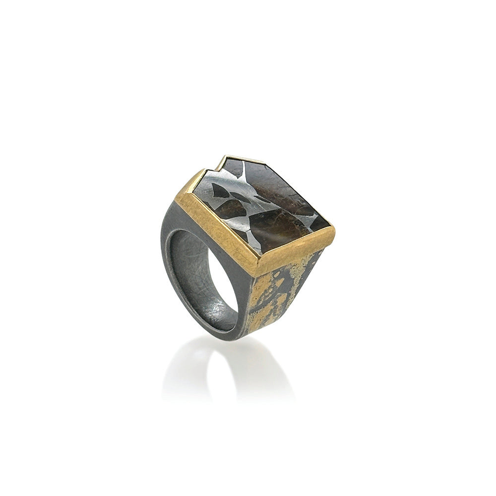 Sliced meteorite (Esquel) set in 22k and 24k yellow gold. Ring is 3/4" wide (20mm) and is a size 10.