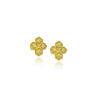 hive earrings with postbacks