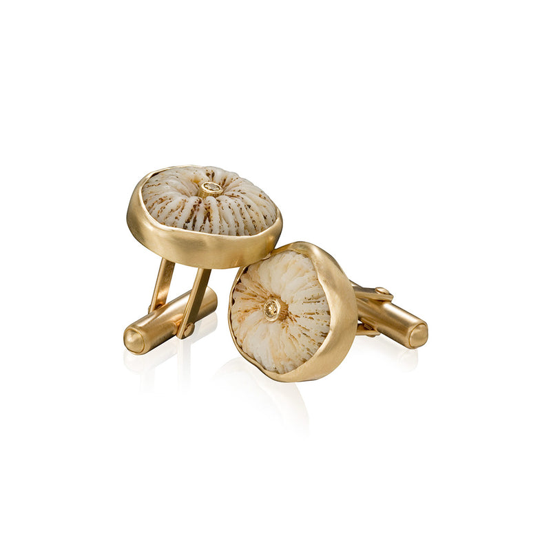 Hawaiian Razor Coral Cuff Links