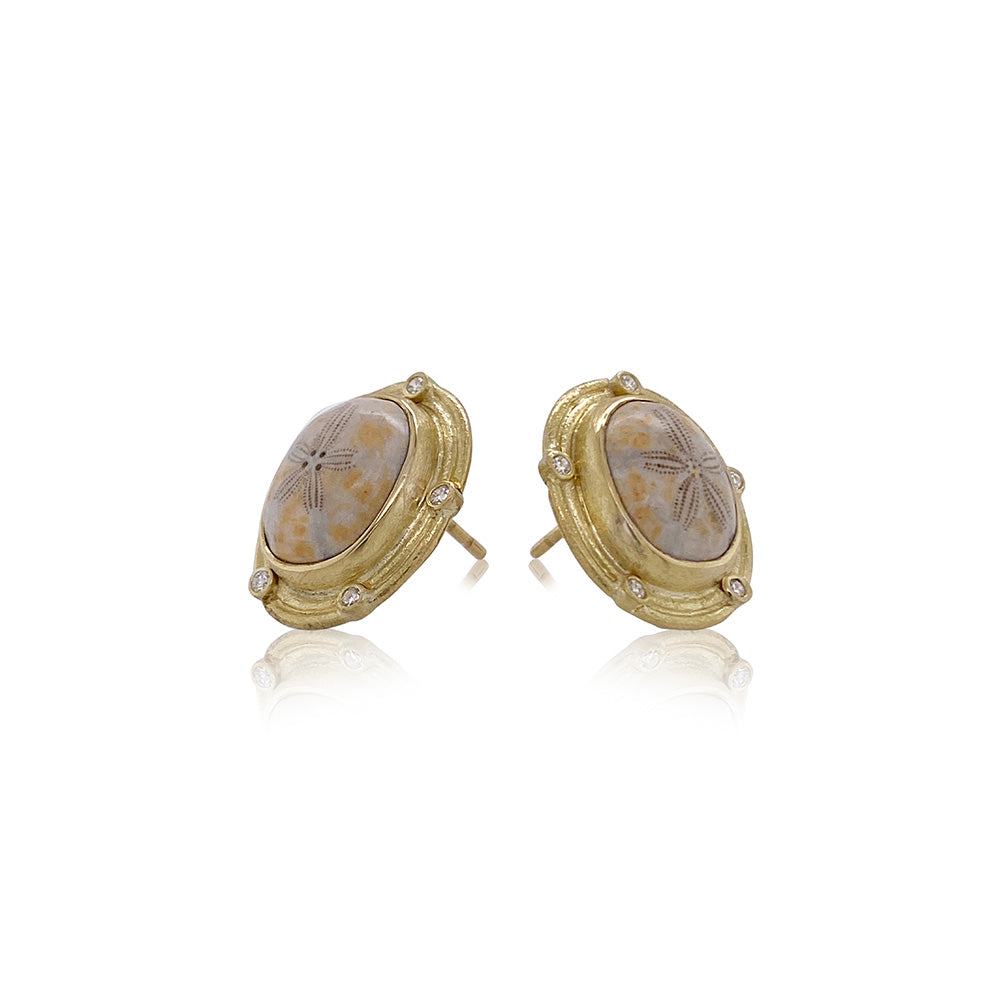 Fossilized Sand Dollar and Diamond Earrings in 18K