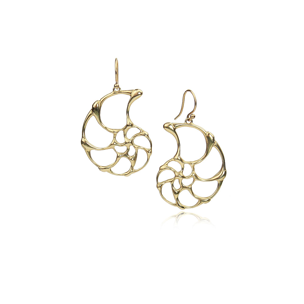 Small Open Ammonite Earrings in 14K