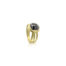 3 blades ring with rimmed bezel black diamond ring