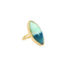 Petrified opalized wood ring set in 18K yellow gold. Ring measures 1 5/16" long x 5/8" wide (33 x 16mm) and is a size 6