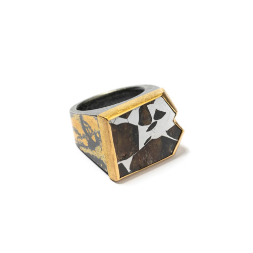 Sliced meteorite (Esquel) set in 22k and 24k yellow gold. Ring is 3/4" wide (20mm) and is a size 10.