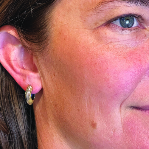 PeterSchmidbi-colorearrings