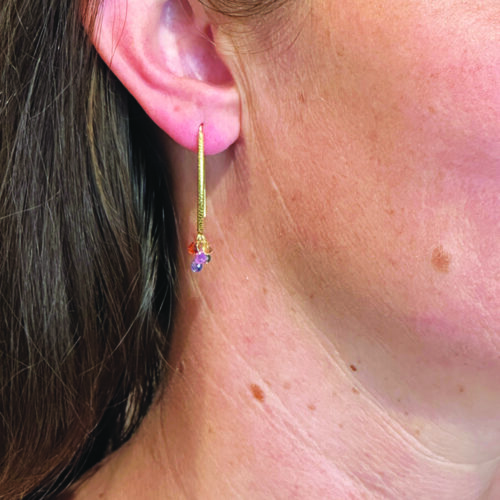 BHmultisapphnavetterER